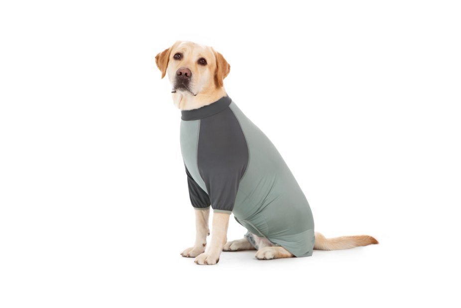 High qulaity pet clothes wholesales price