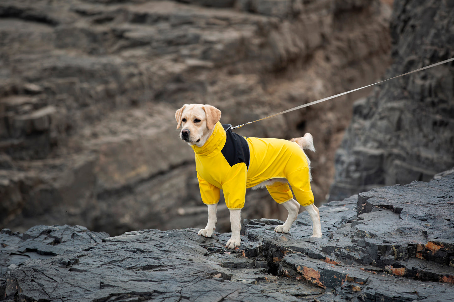 High qulaity pet clothes wholesales price