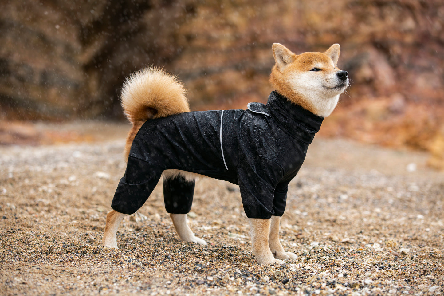 High qulaity pet clothes wholesales price